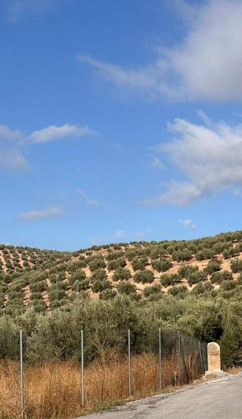 Hostal Rural el Nacimiento