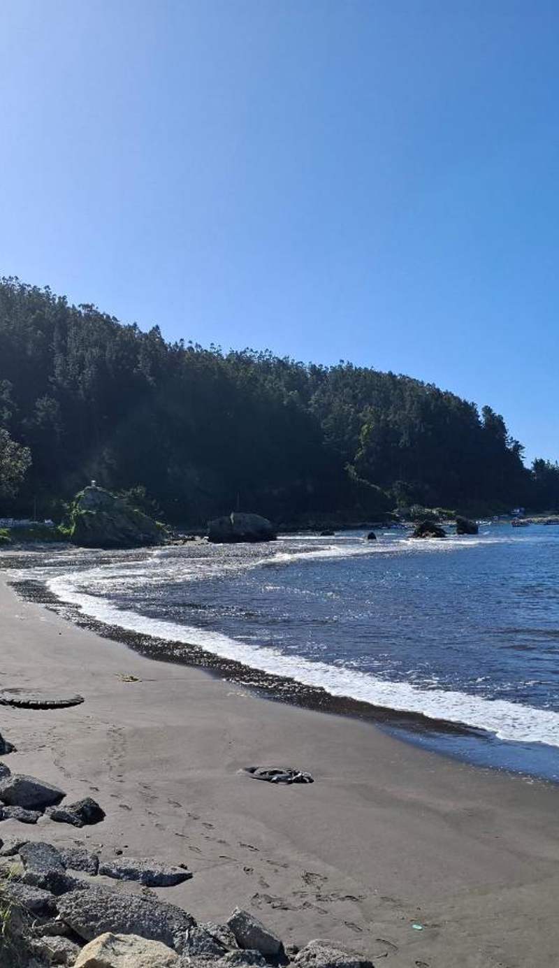 Hostal Buró
