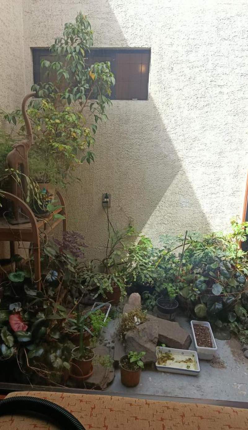 Hostal Edificio Kuramochi