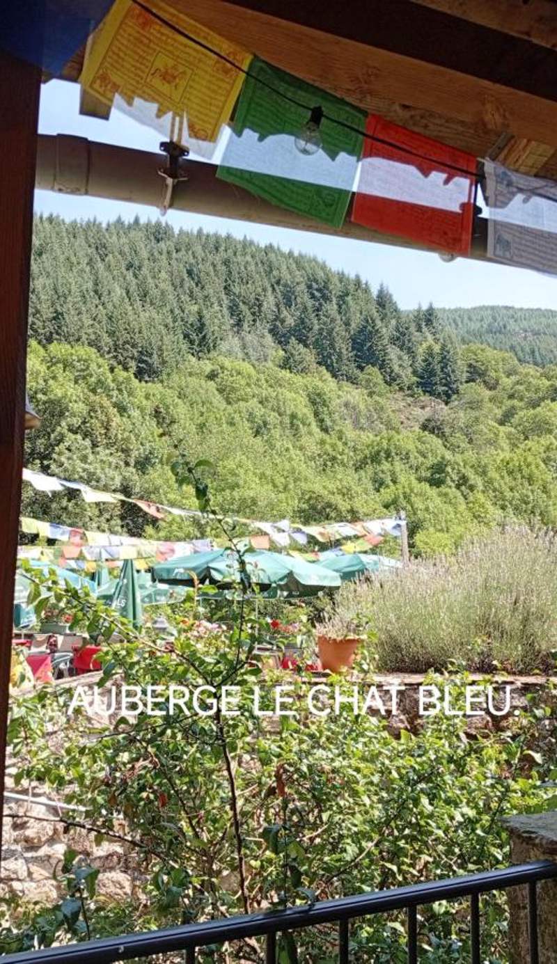 AU CHAT BLEU