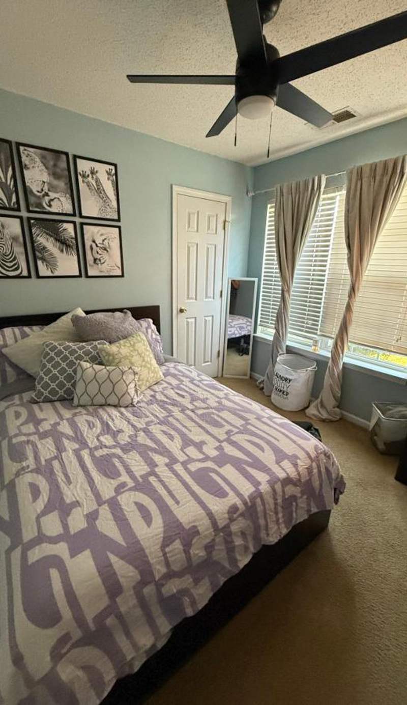 Hakuna Matata Hostel Shared Room