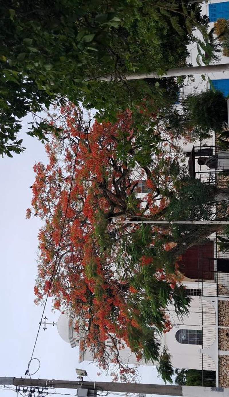 Nicte Guesthouse