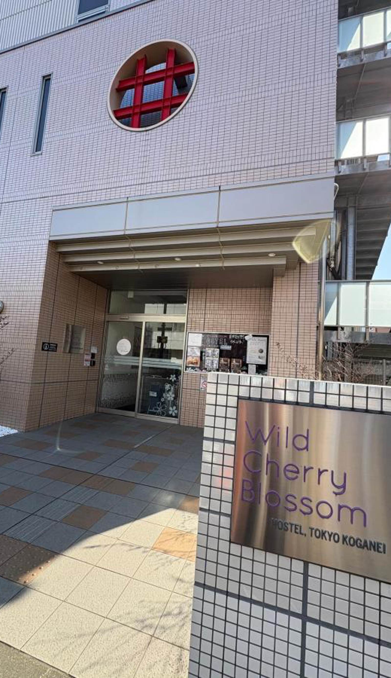 Wild Cherry Blossom-HOSTEL,TOKYO KOGANEI-
