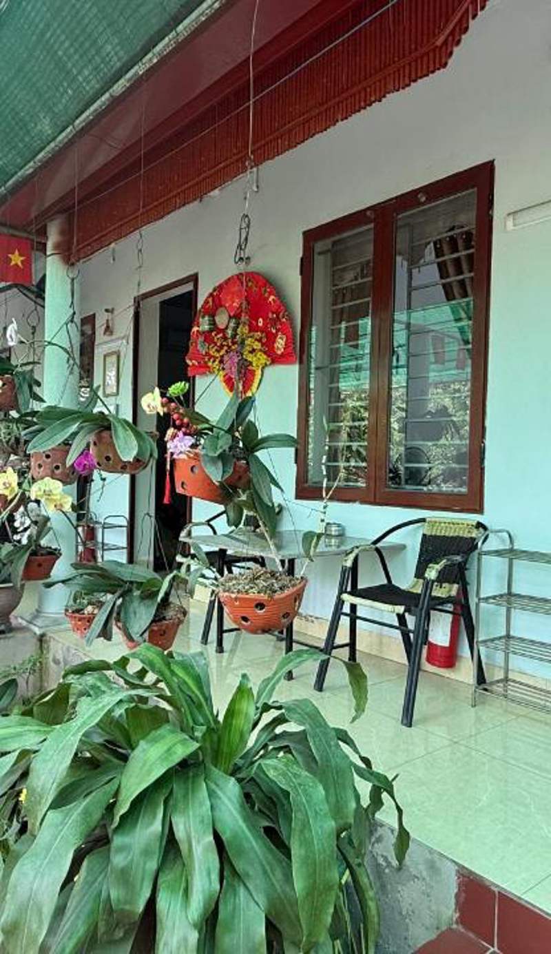 Tre Xanh Homestay