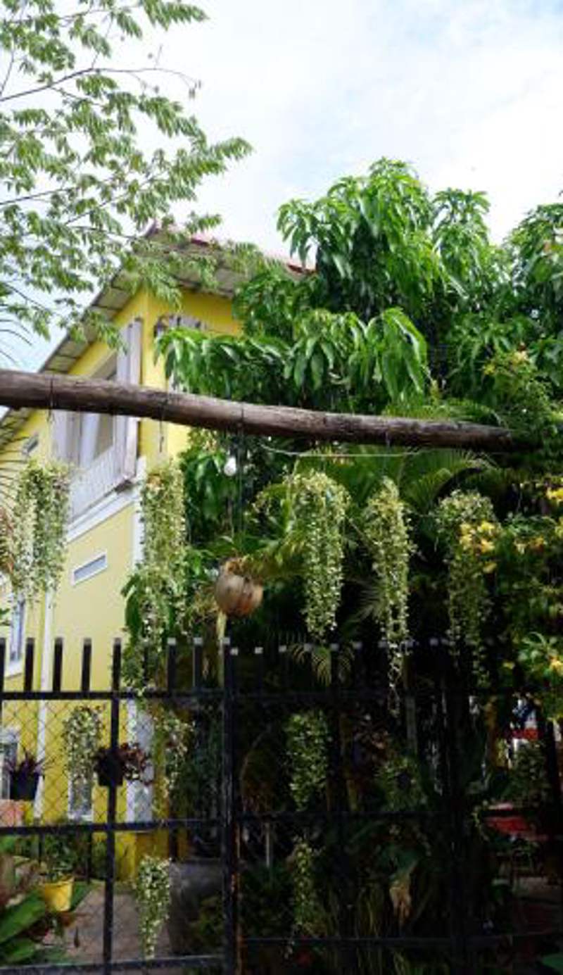 Homestay Yellow Natural House