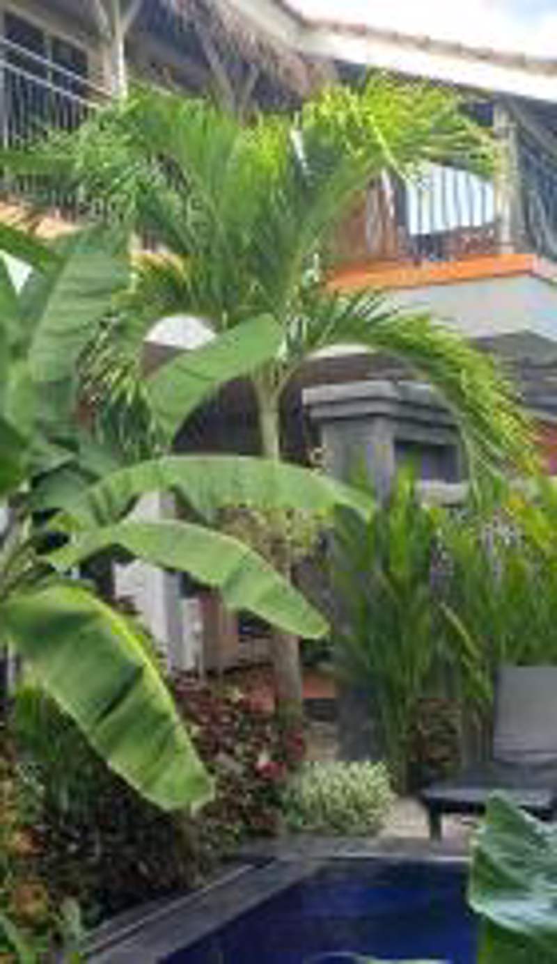 PD Bali Guesthouse