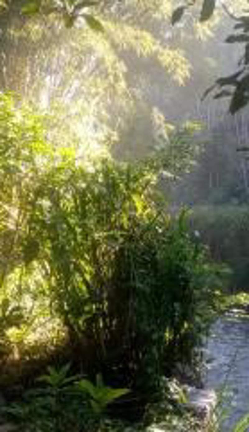 ASK Homestay