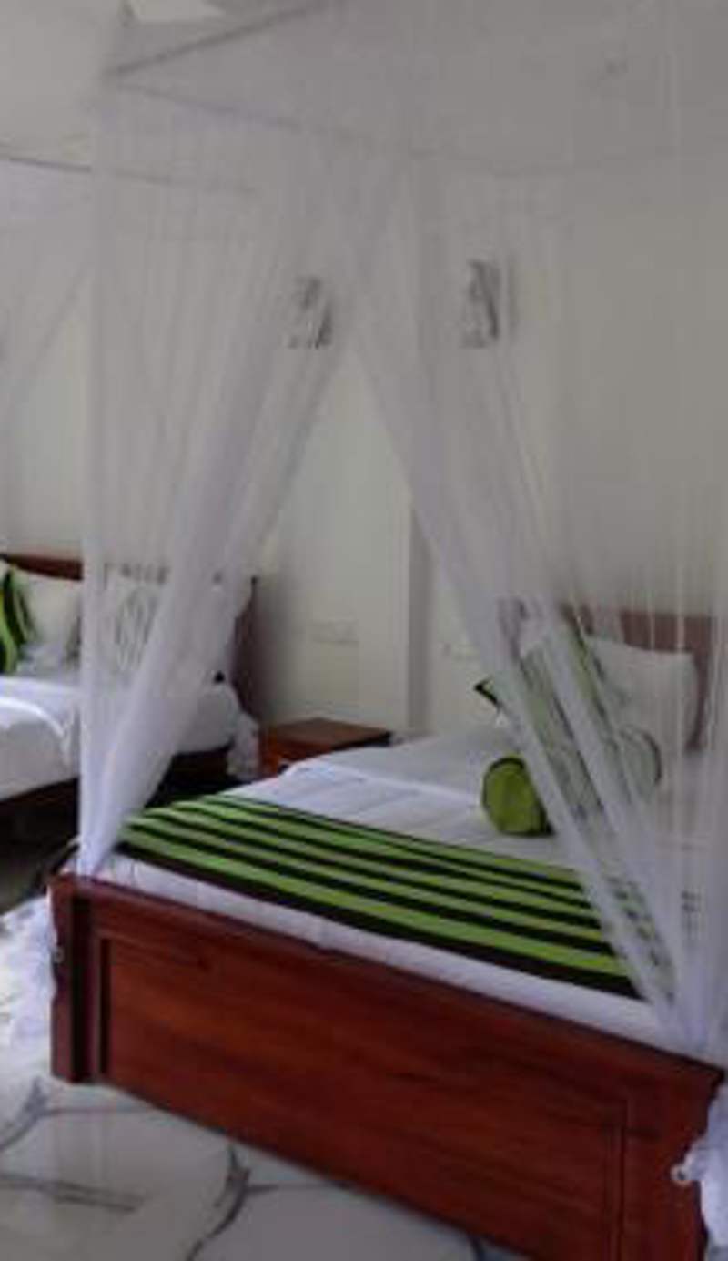 Forest Paddy Homestay