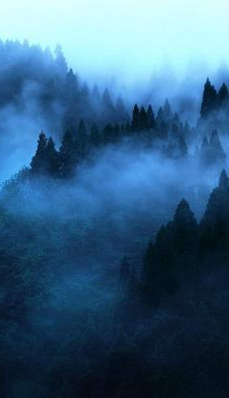 "Mount'n mist"