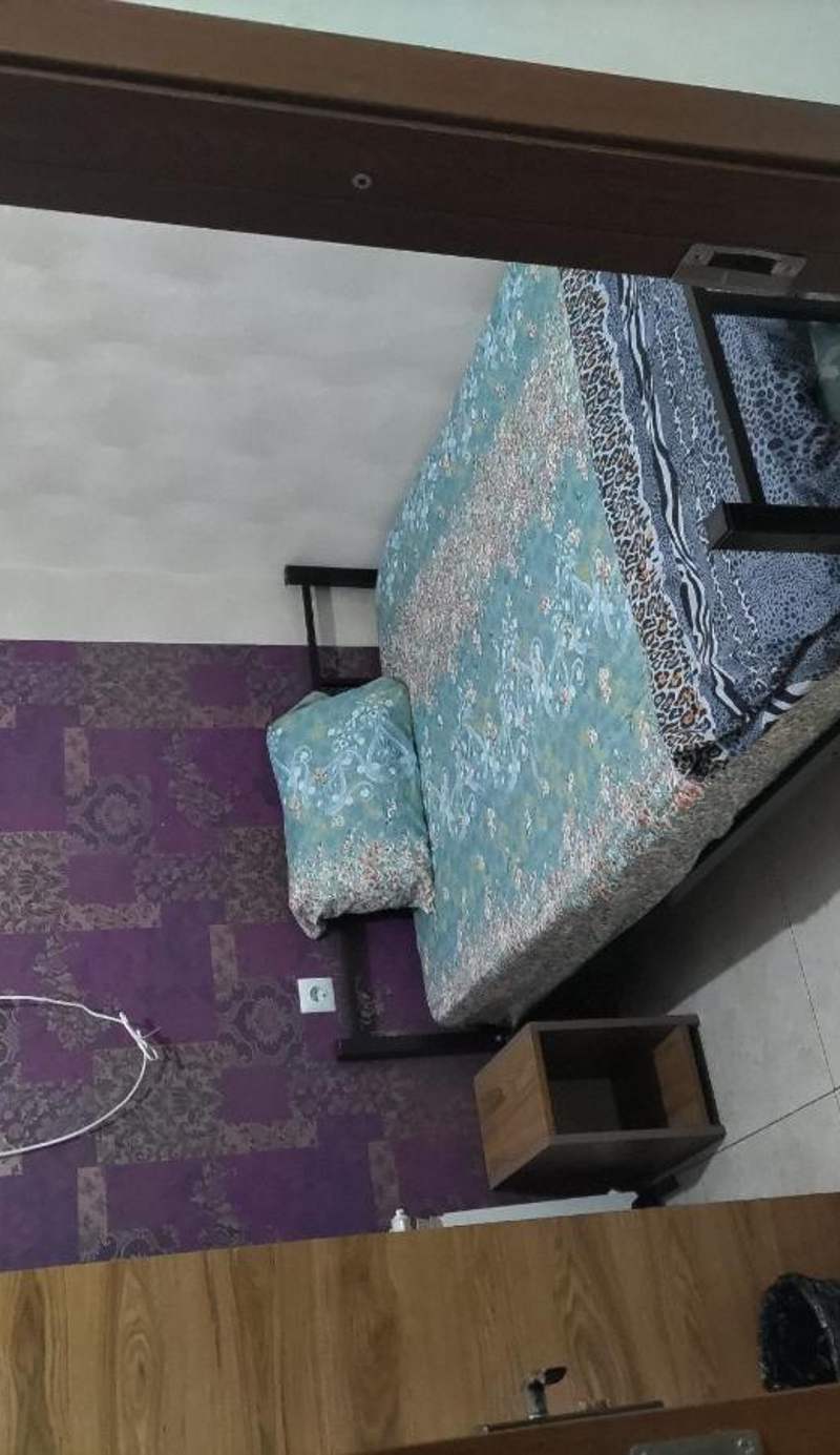 Hostel Violet