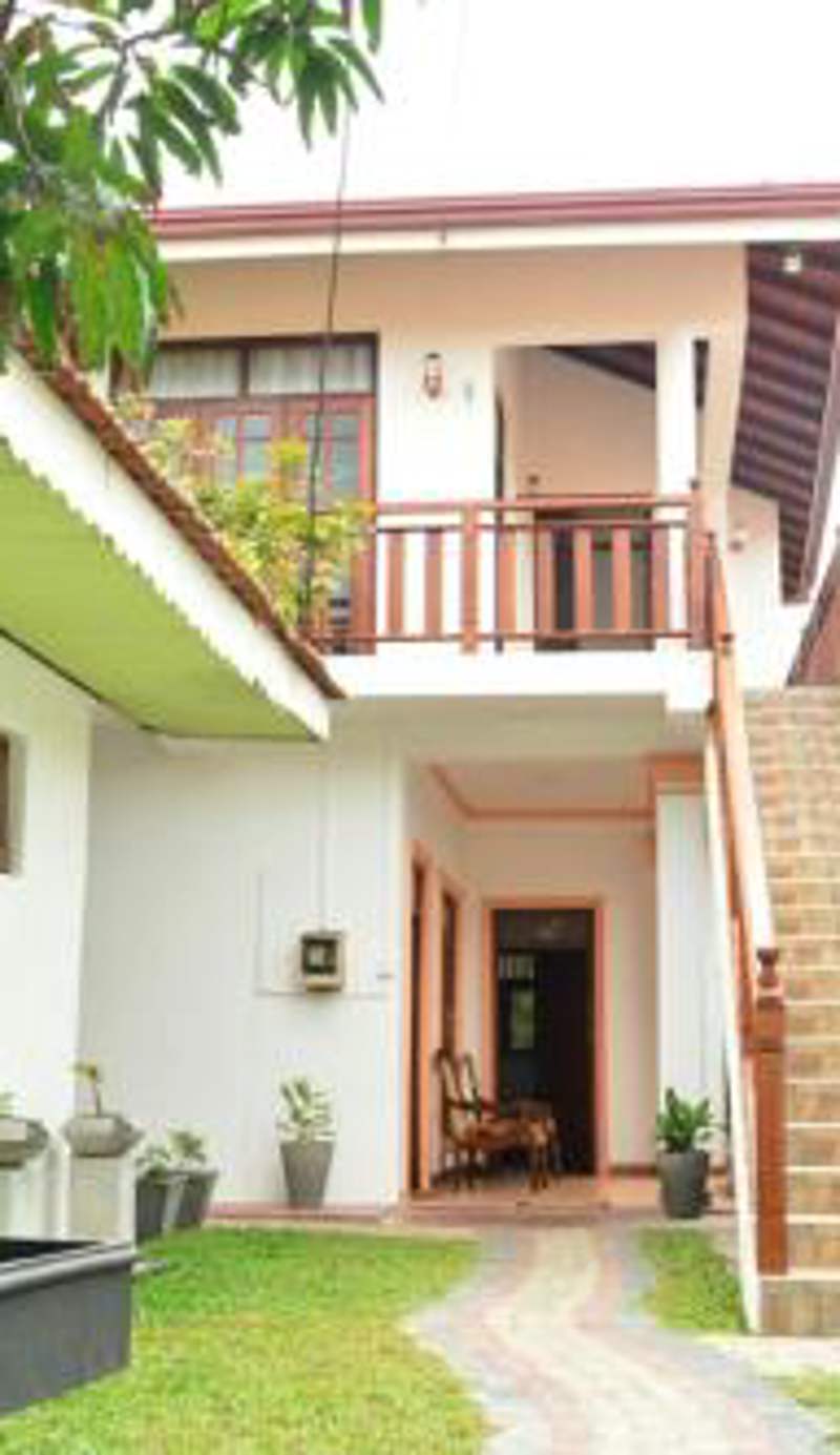 Tropical Garden