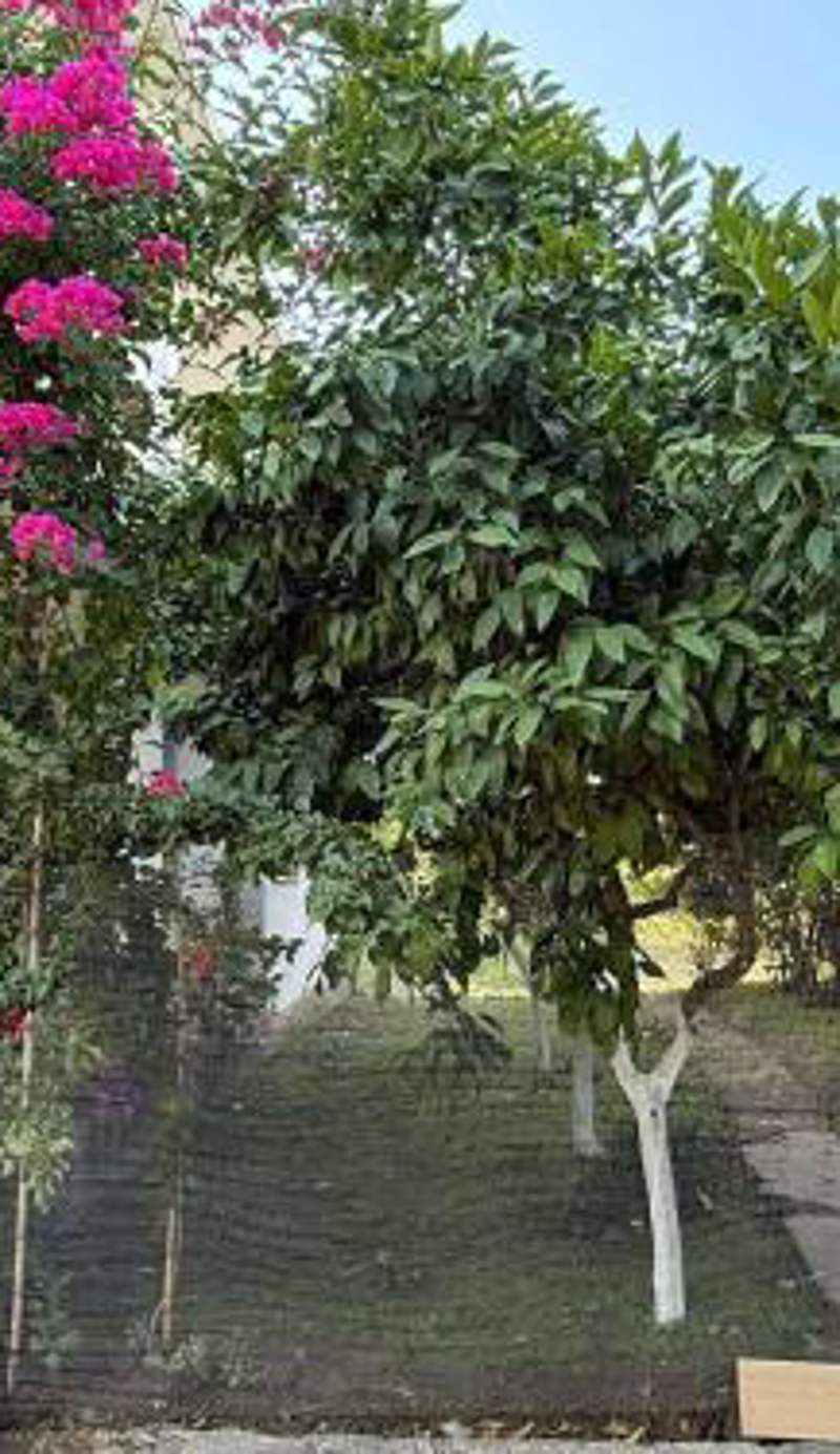 Guest House Tirana