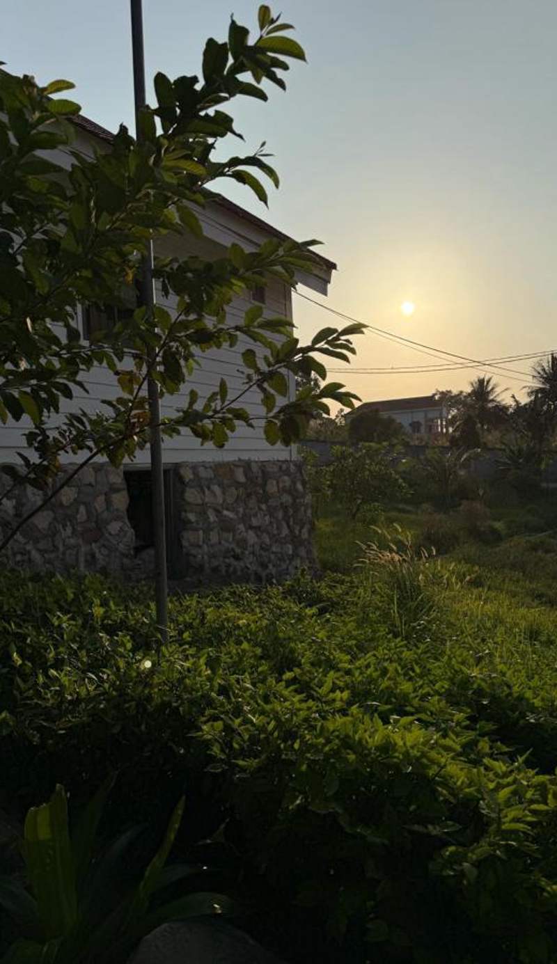 Alicia Resort