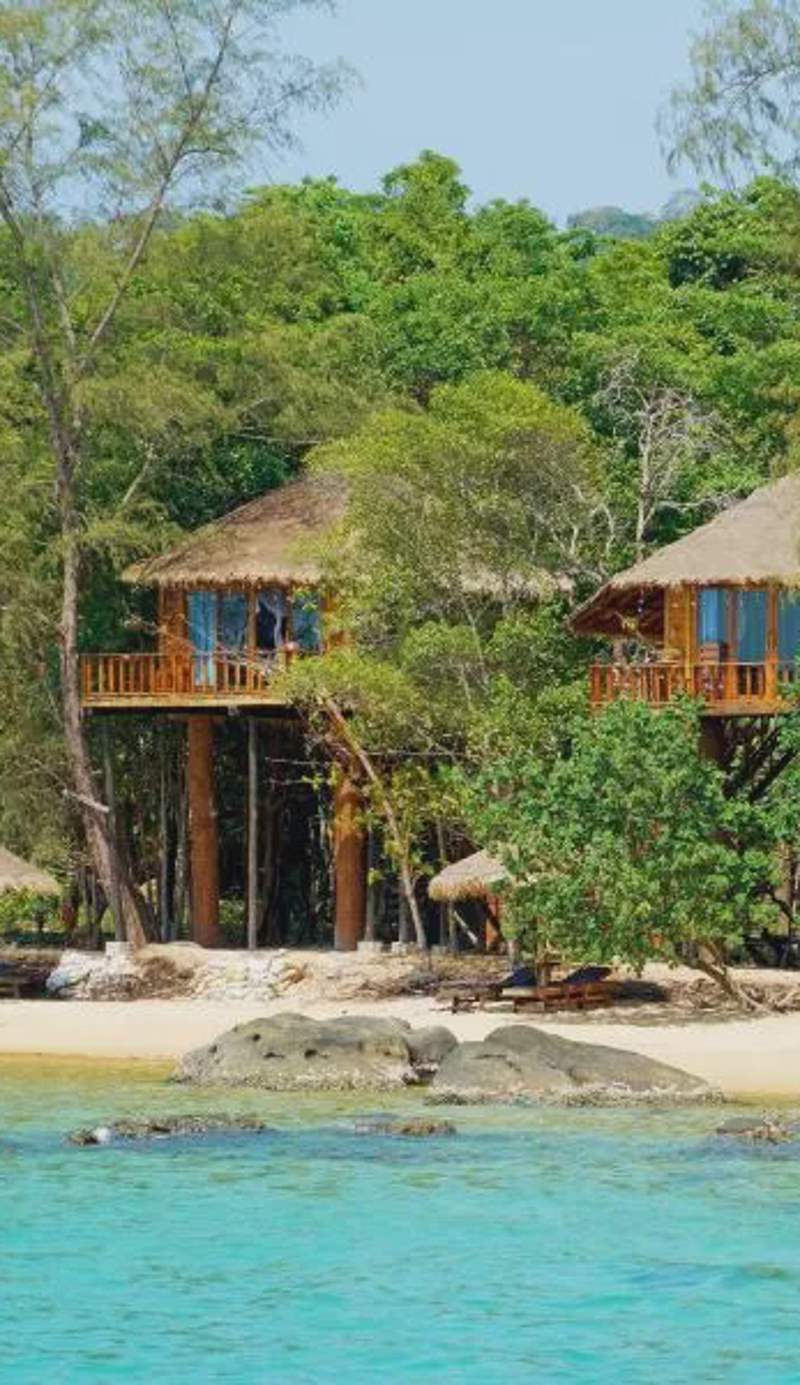 Tree House Bungalows
