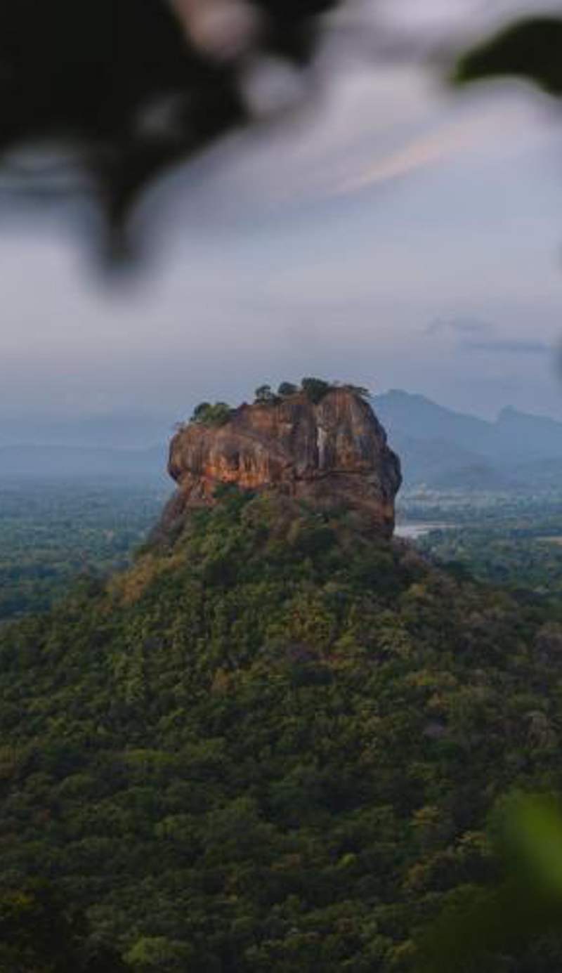 Elephant Trio Sigiriya