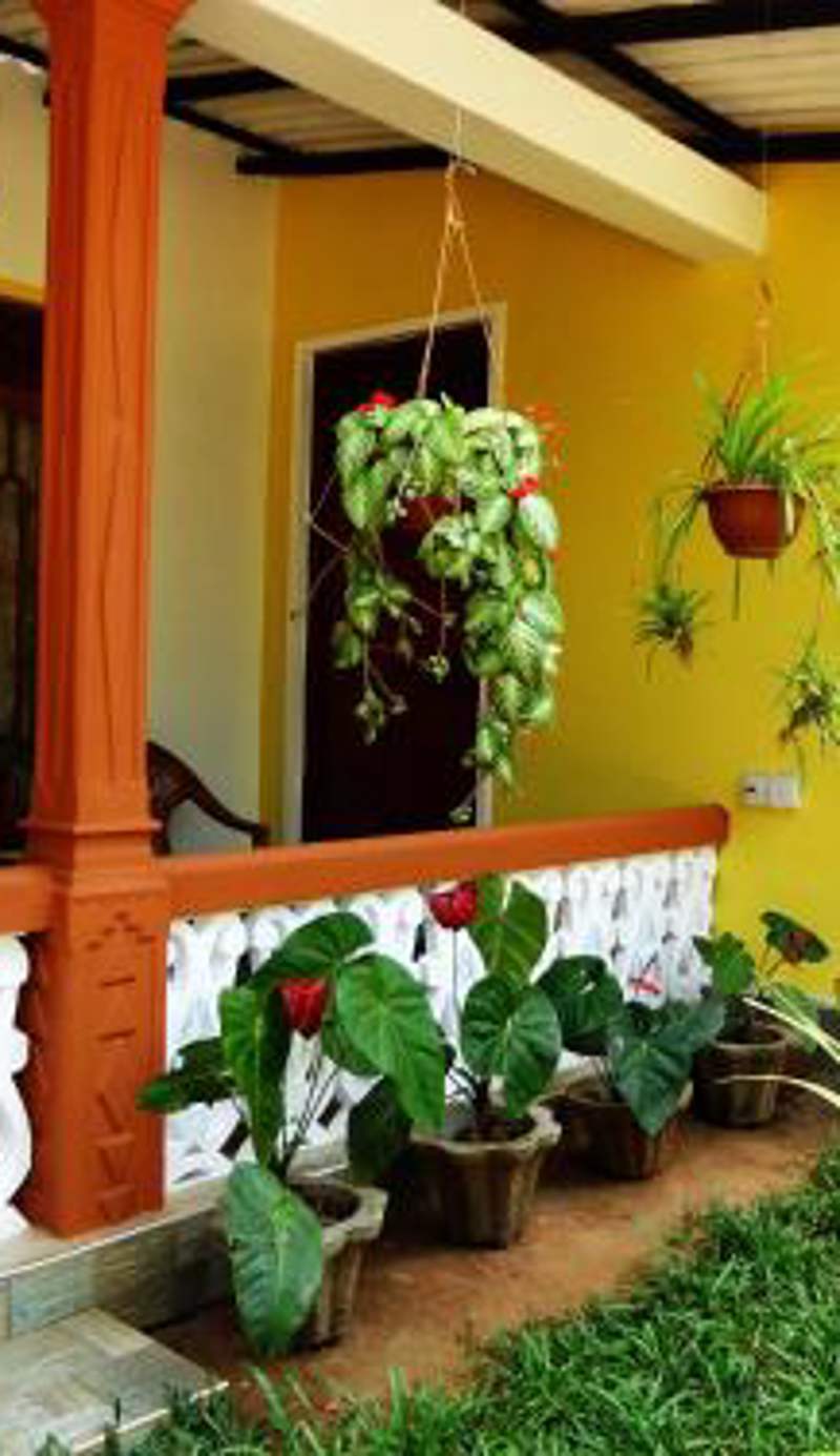 Sigiri Sithru Home Stay