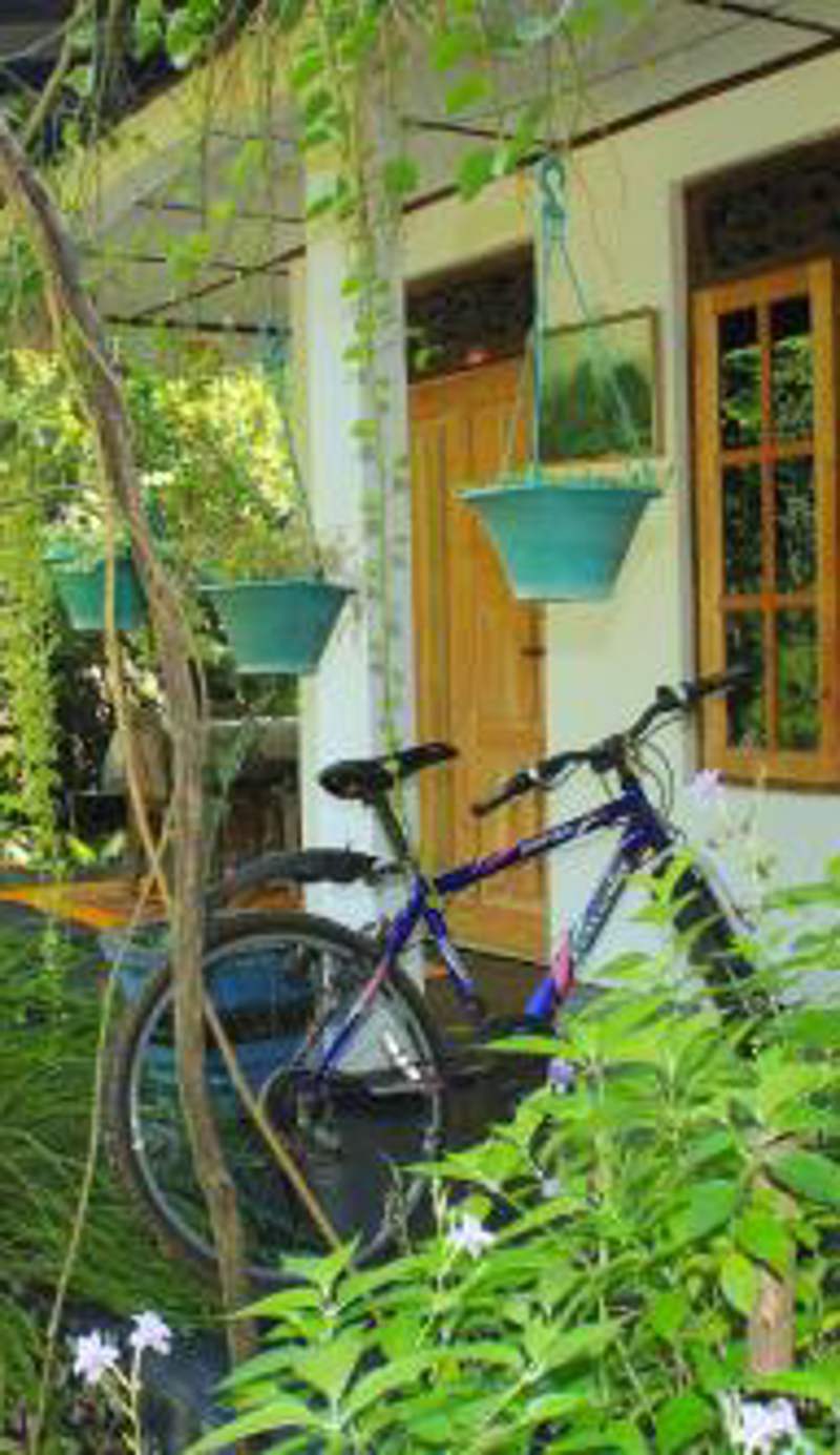 Nature Night Homestay
