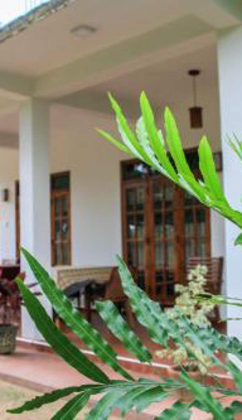Sigiri Lion Villa