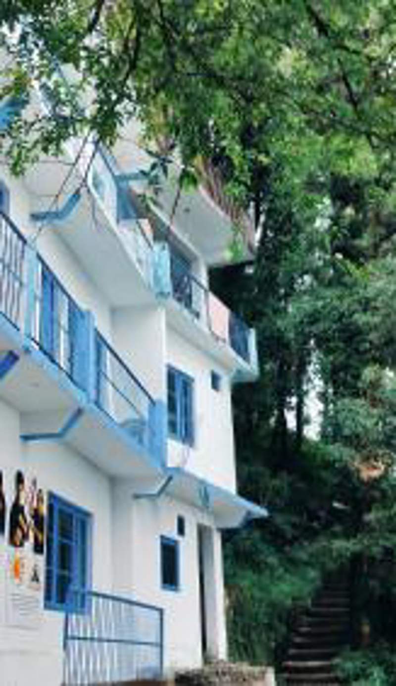 Tree House Bhagsu
