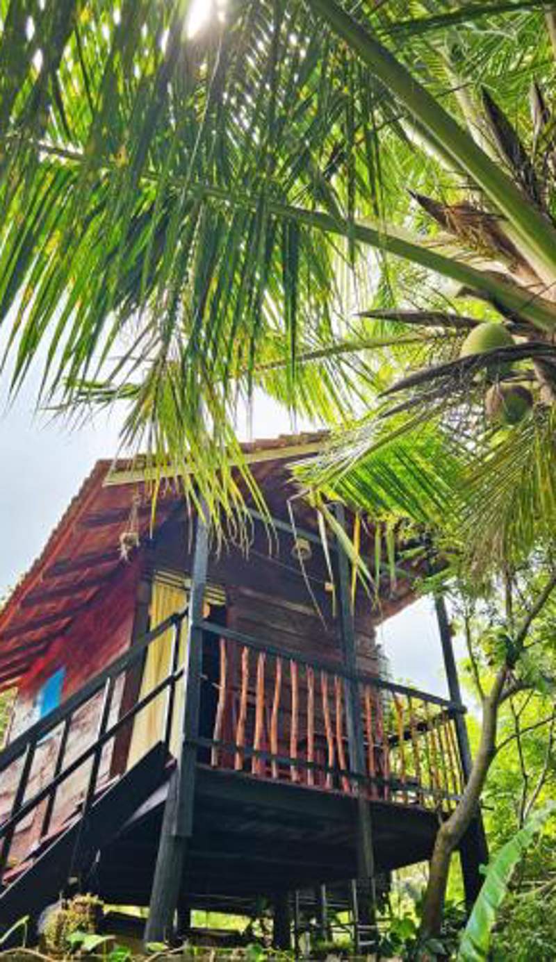Bird House Mirissa
