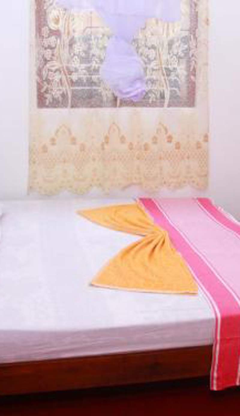 Dilan Guest