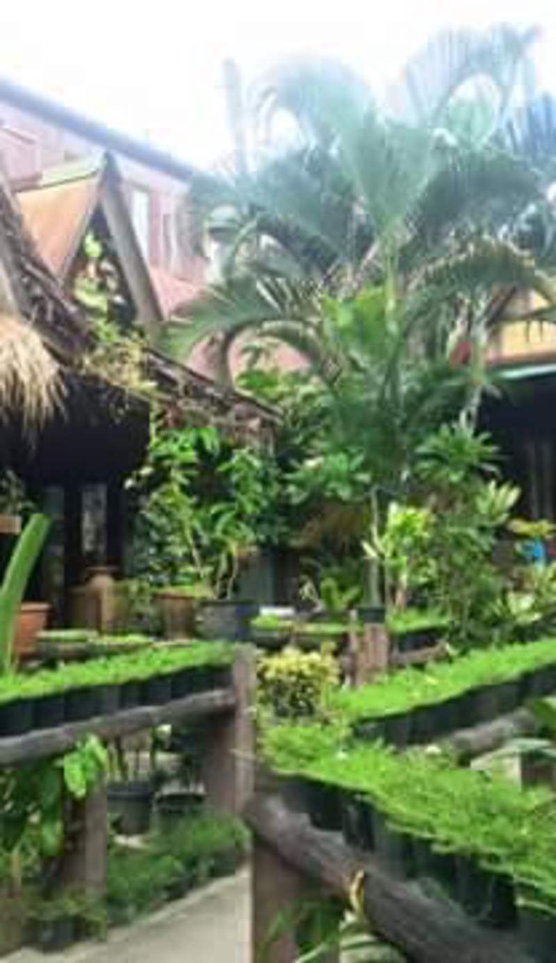 P P Garden Home Bungalow