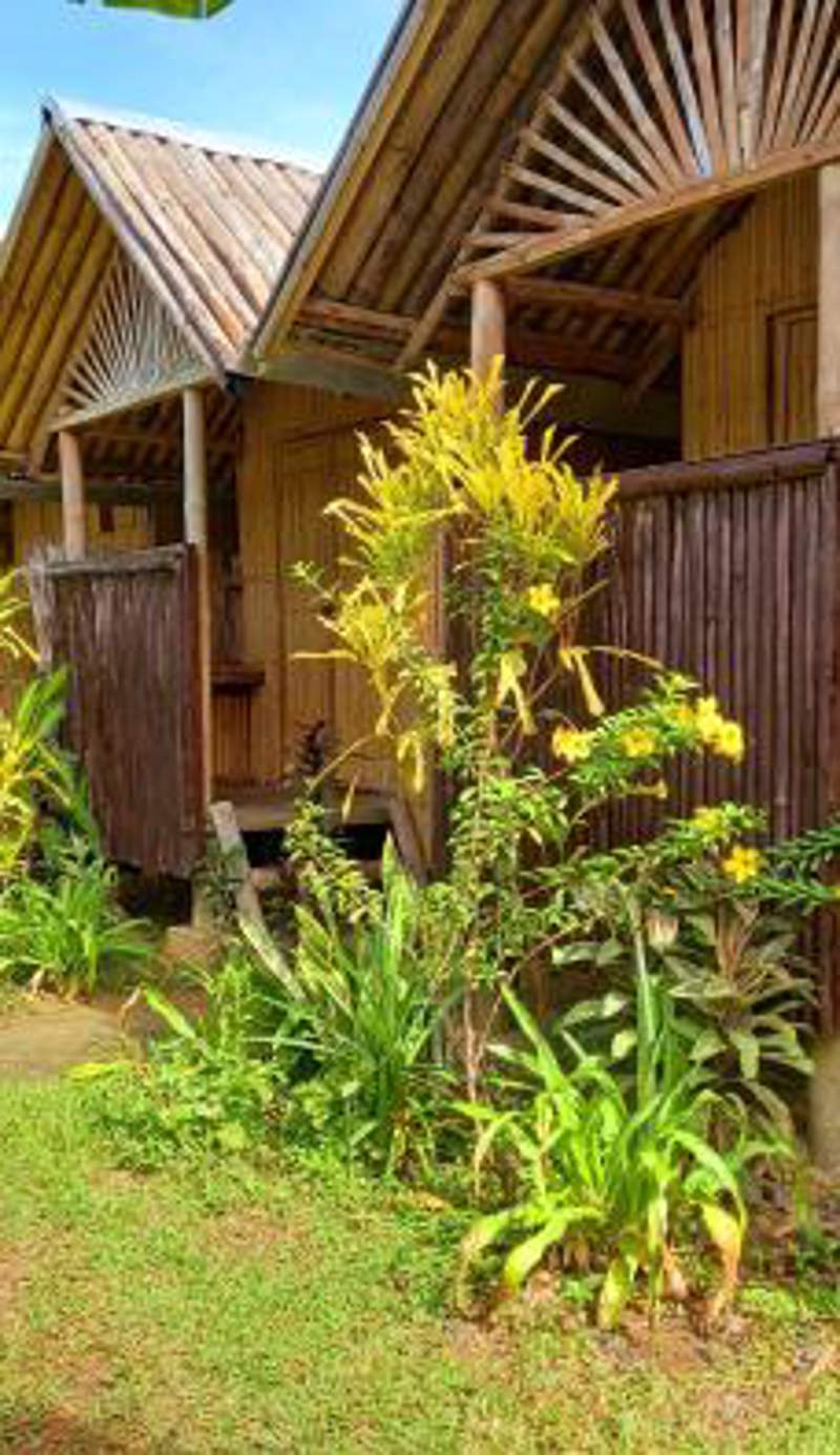 Banana Grove El Nido