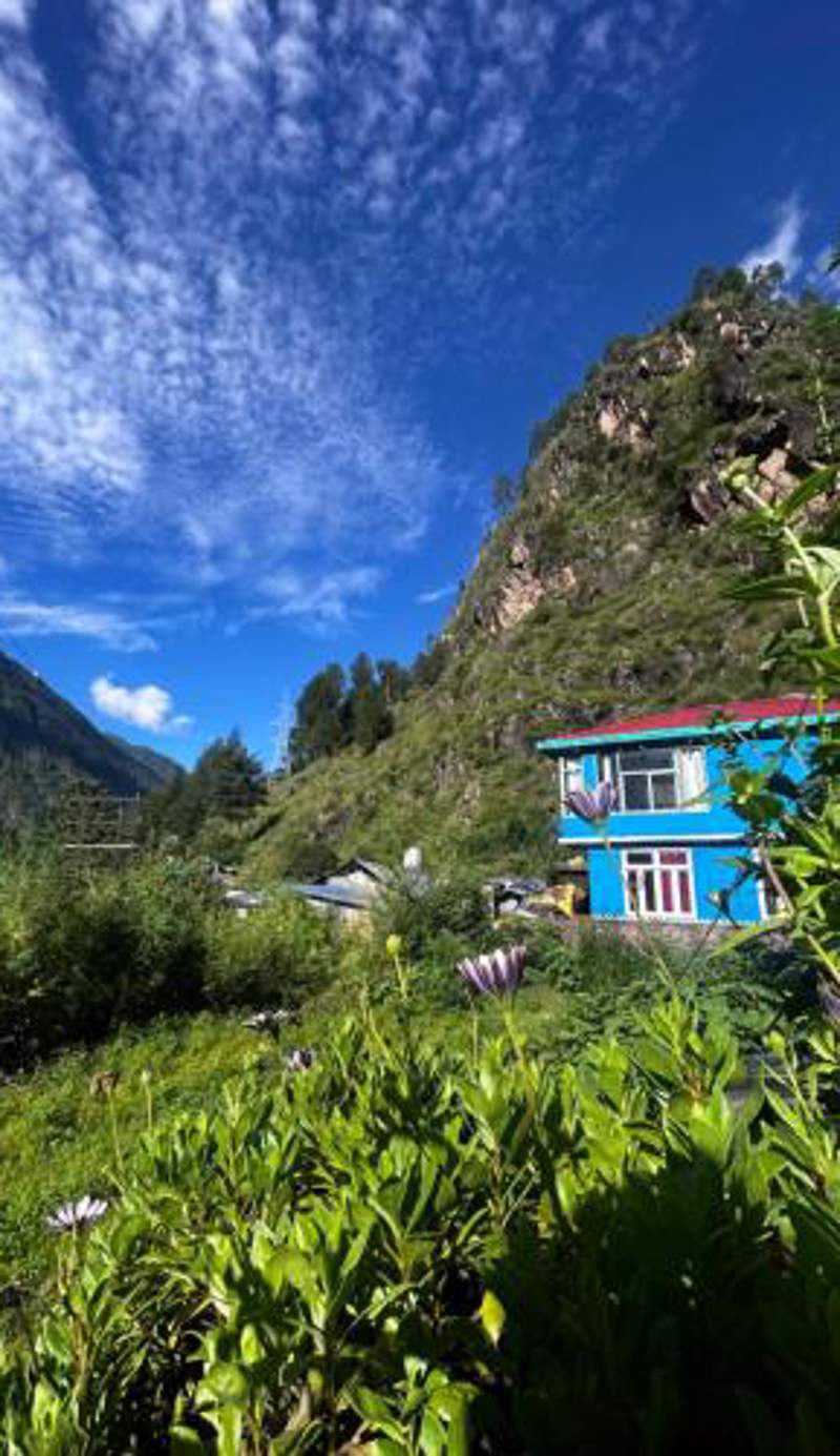 FORMOSA Cafe Hostel KASOL GOA