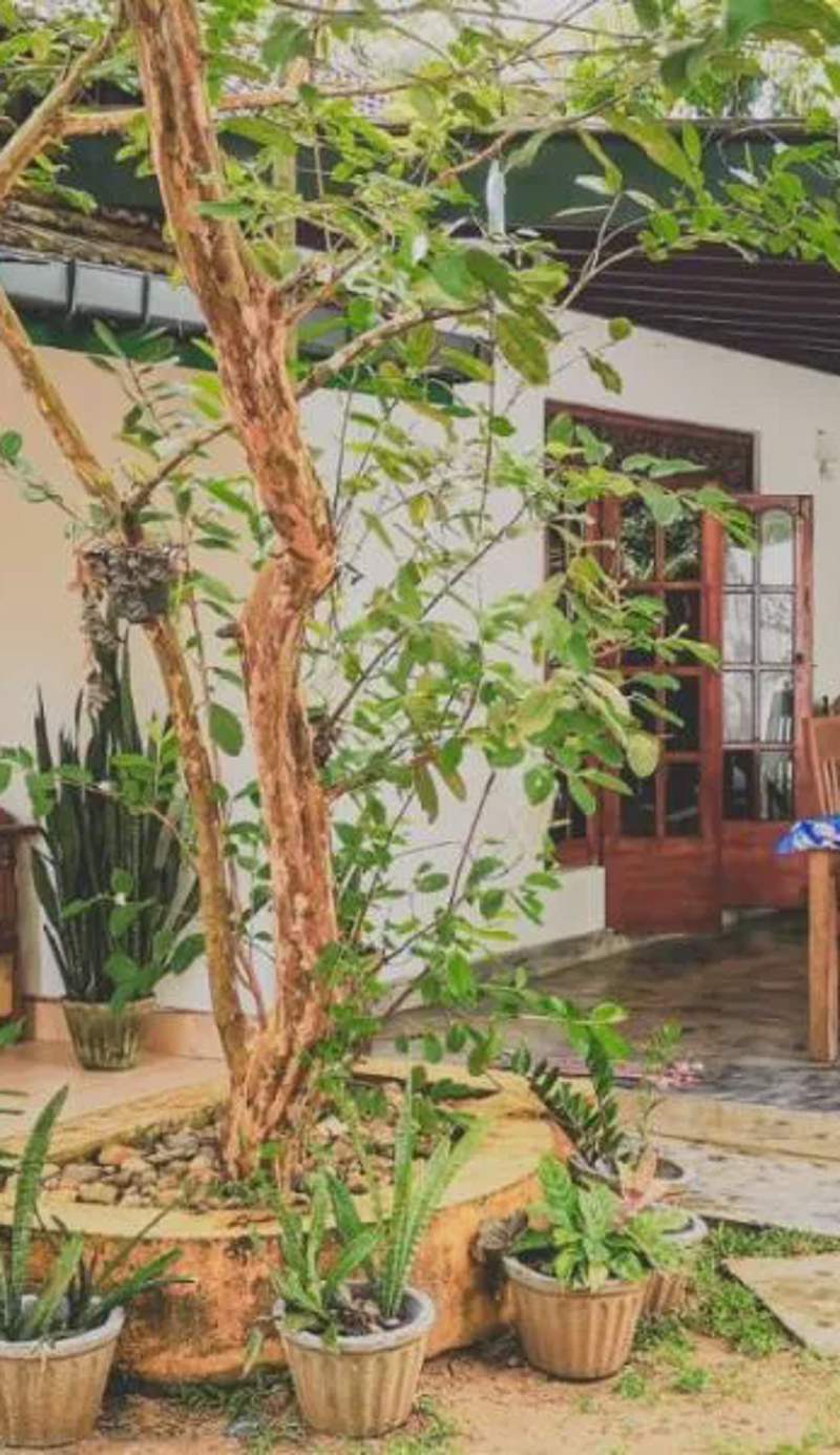 Weligama Bay Eco Villa