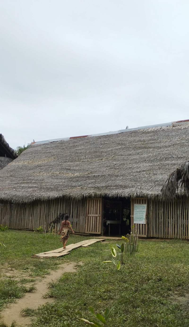 Reina Arriera Amazonas