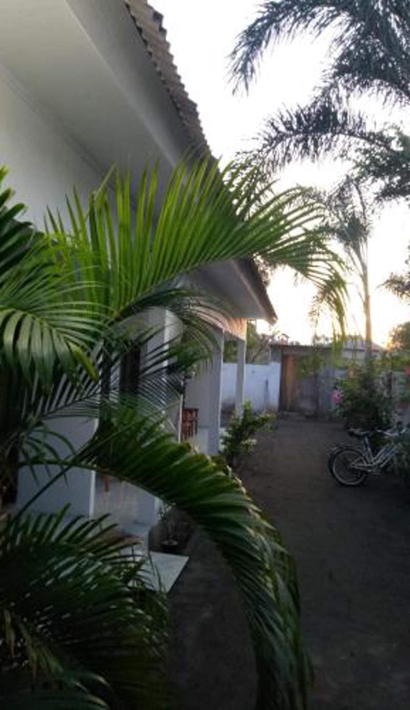 Ani Bungalows