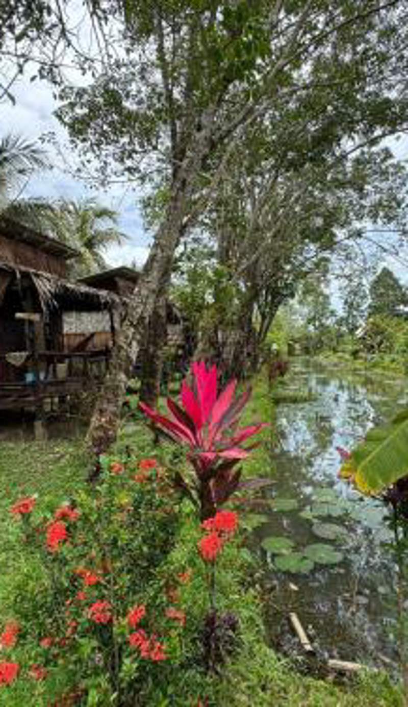 Easylife Bungalow