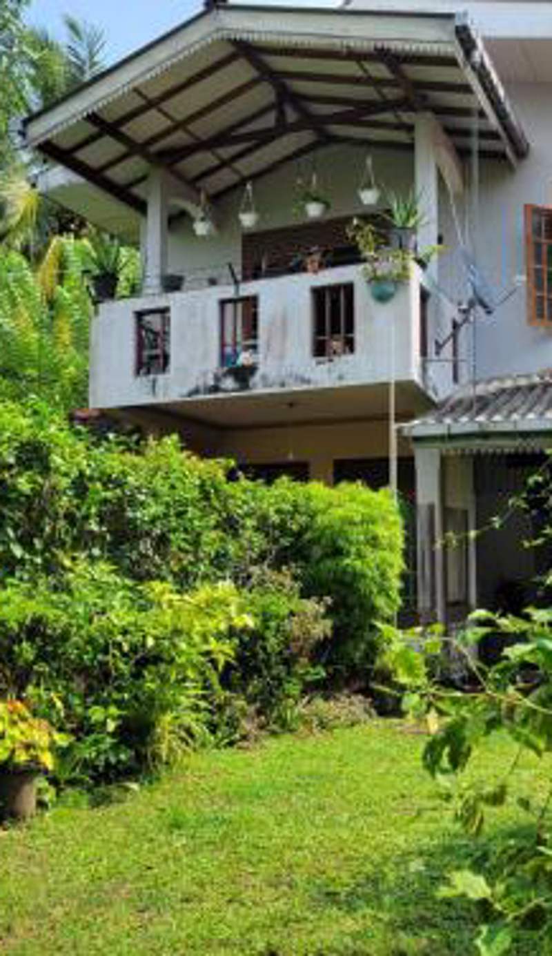 Green House No 02