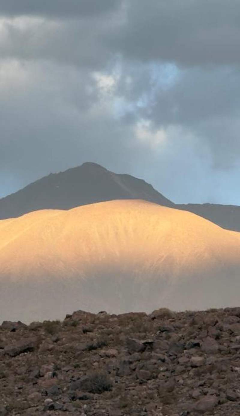 Vientos - La Yareta