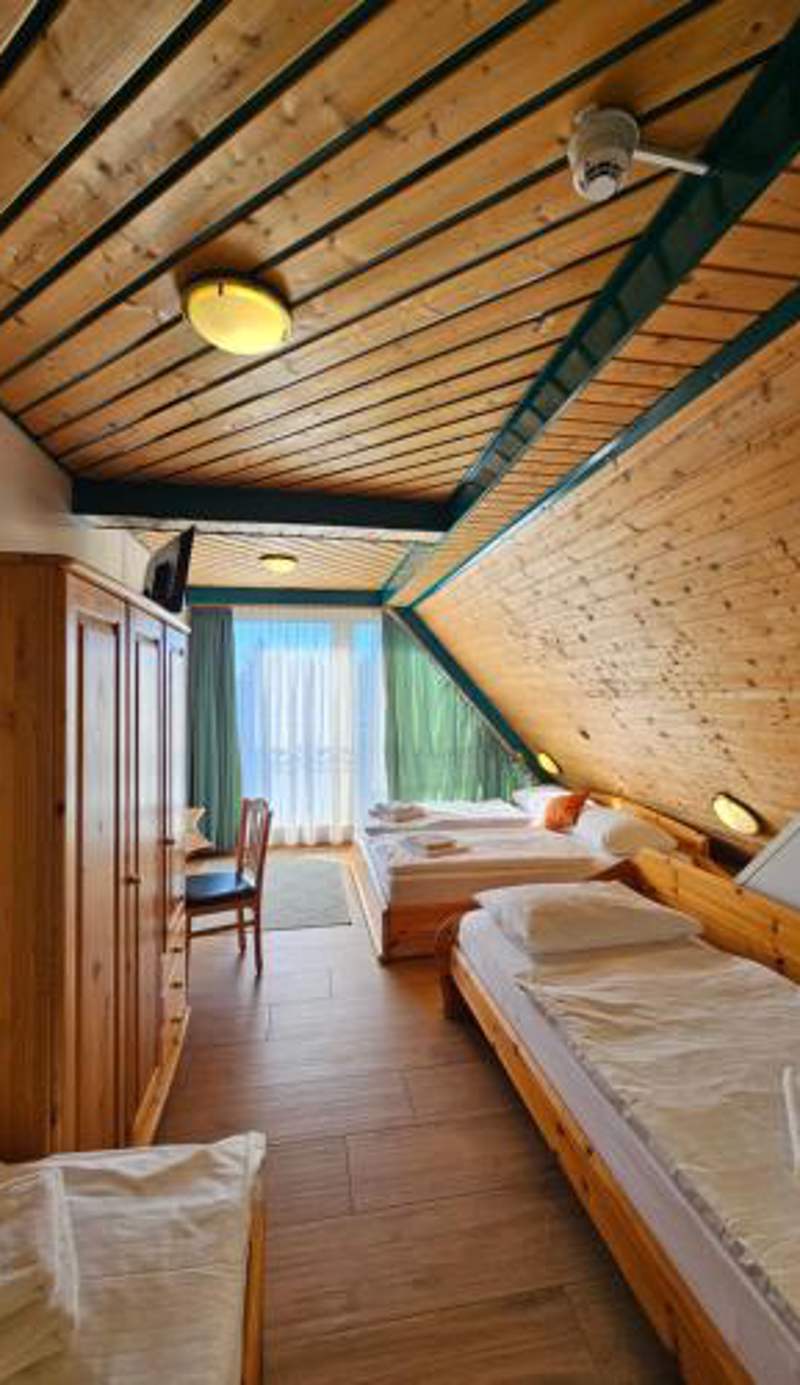 Hotel Asperner Löwe