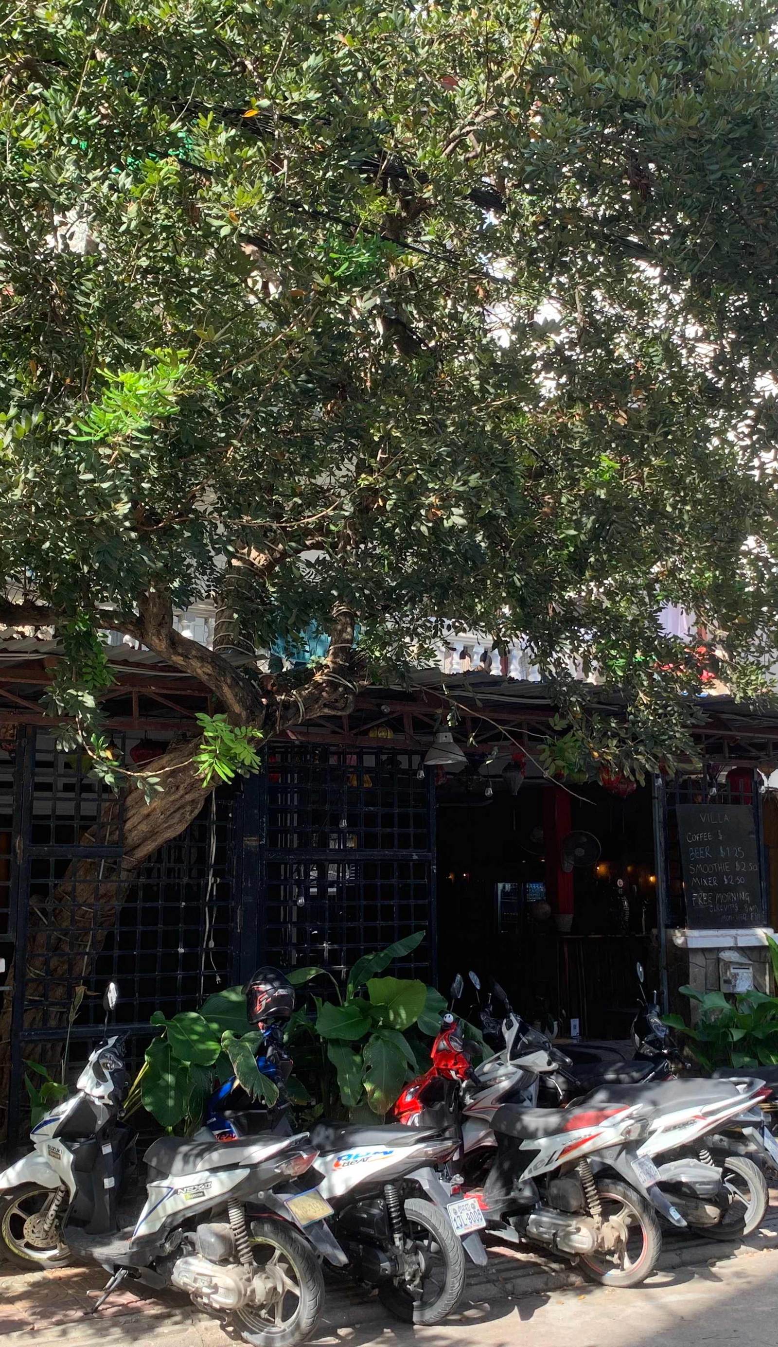 Villa Martial Arts Gym & Hostel