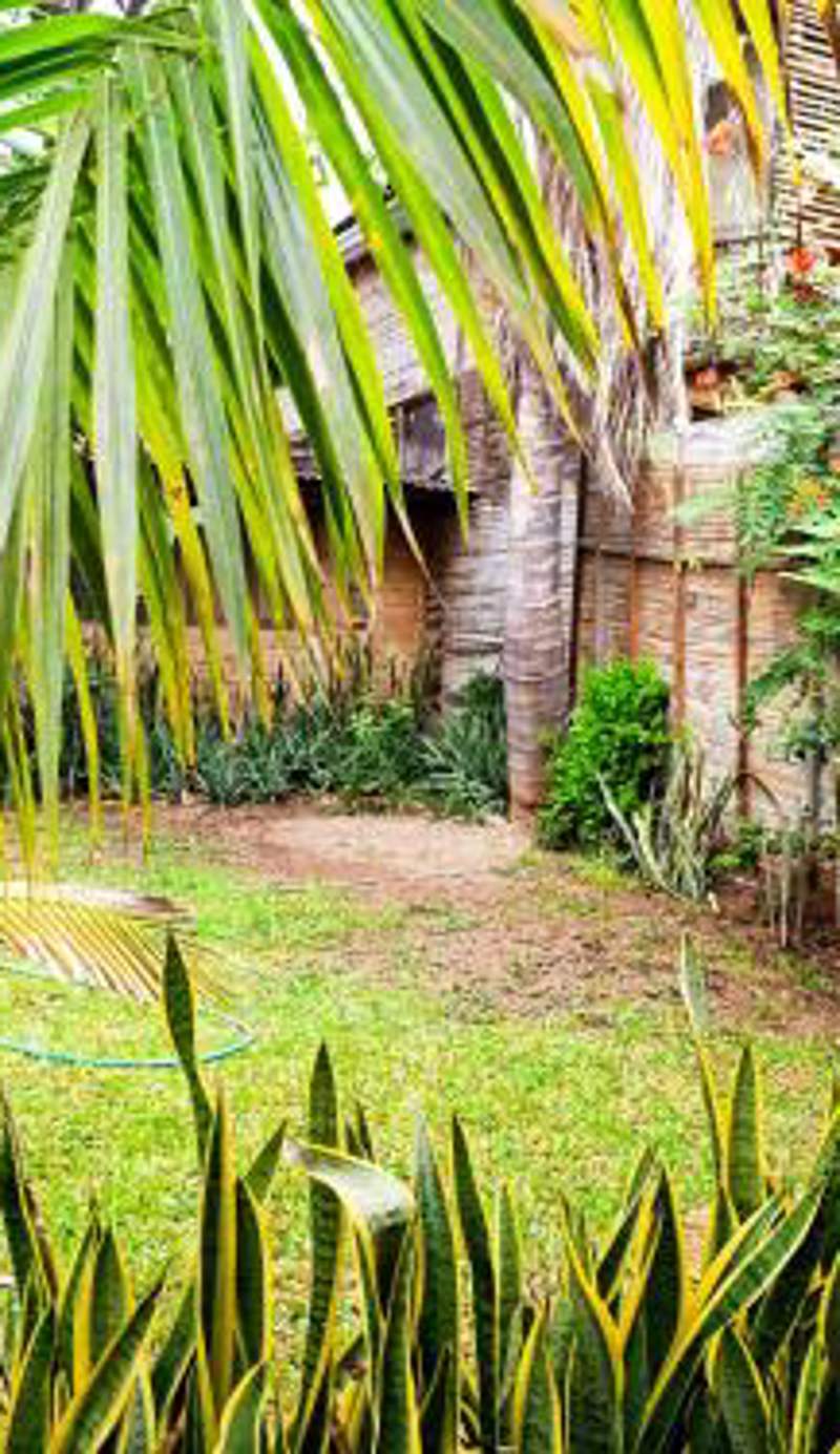Guayobungalows