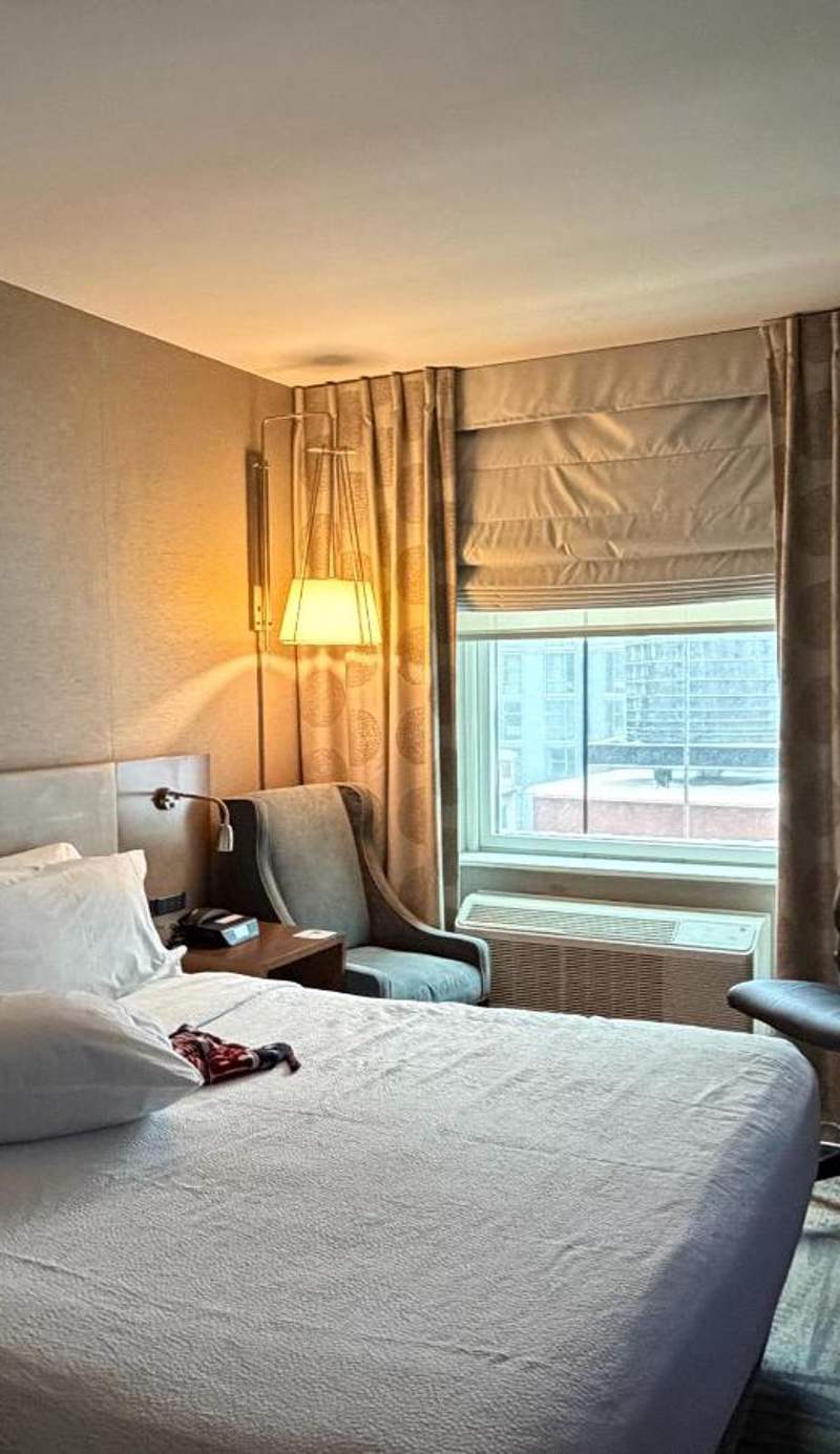 Hilton Garden Inn New York Times Square South