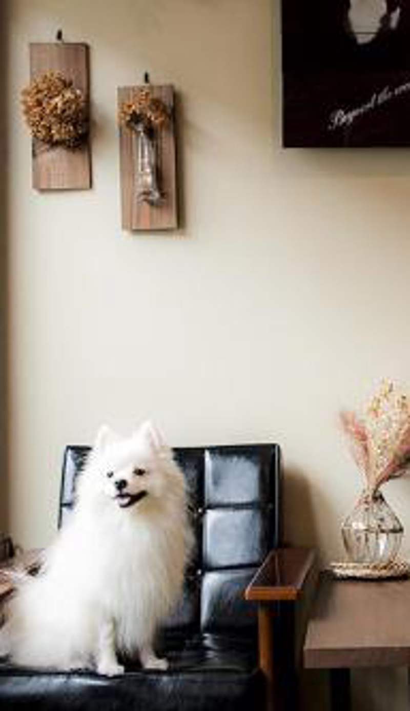 Suzuki Guesthouse