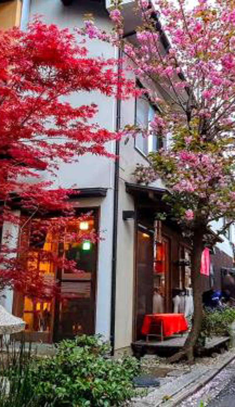 Guesthouse Soi