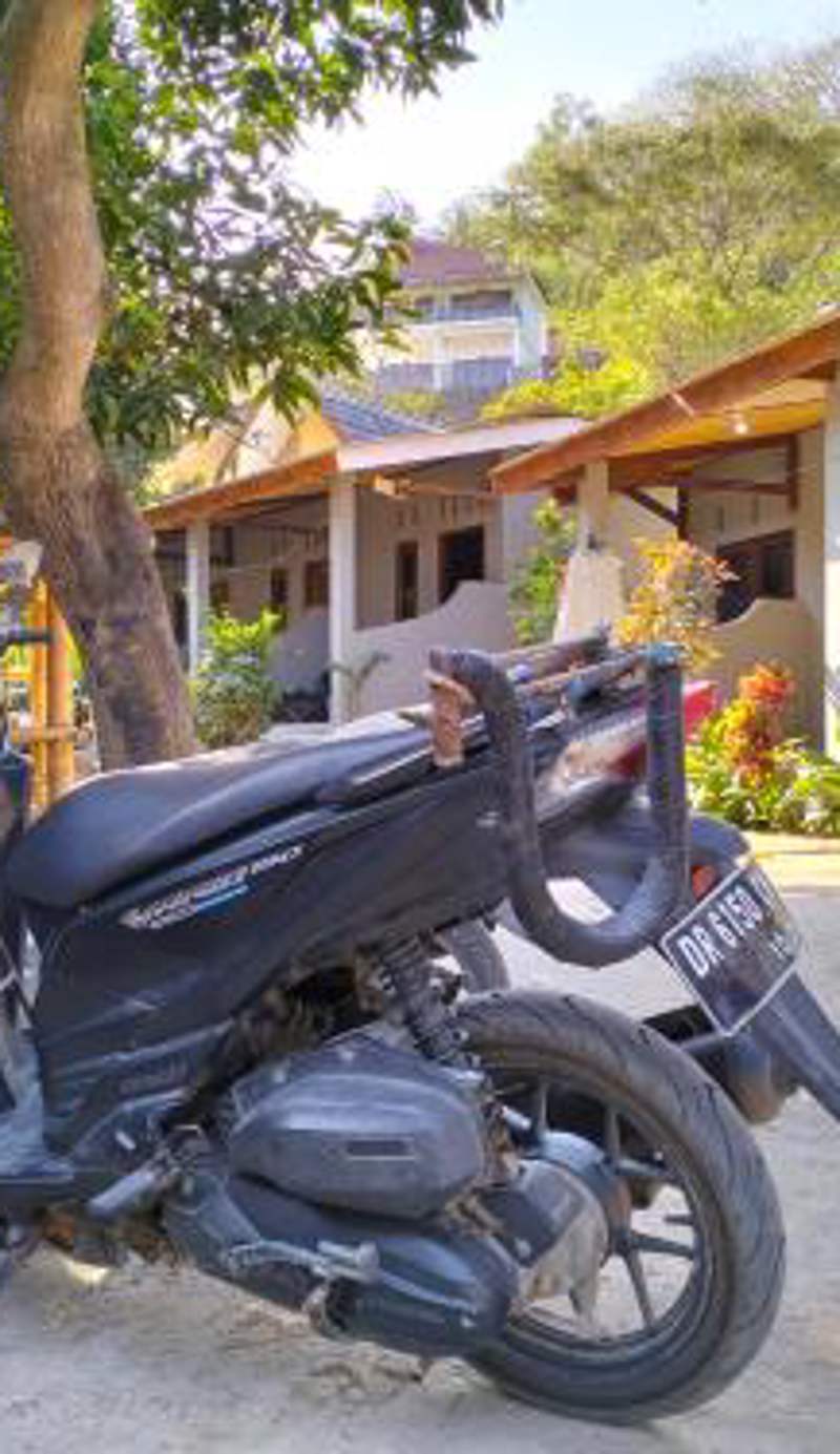 T&T Homestay