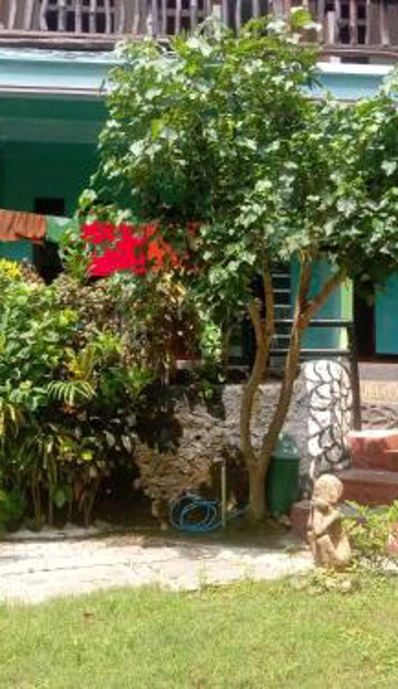 Breeze Hostel
