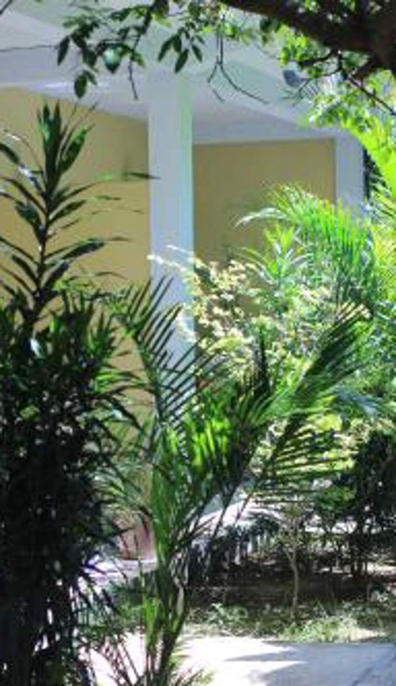 Three V Homestay