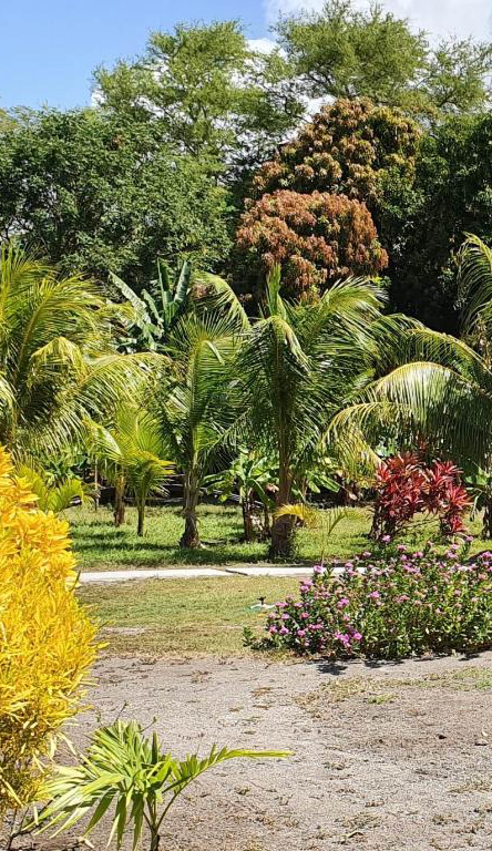 Rancho Tranquillo