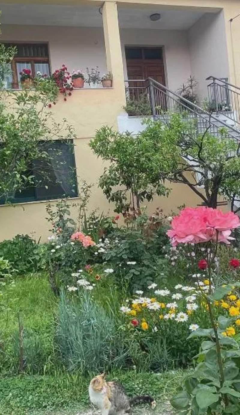 Hysa Guest House