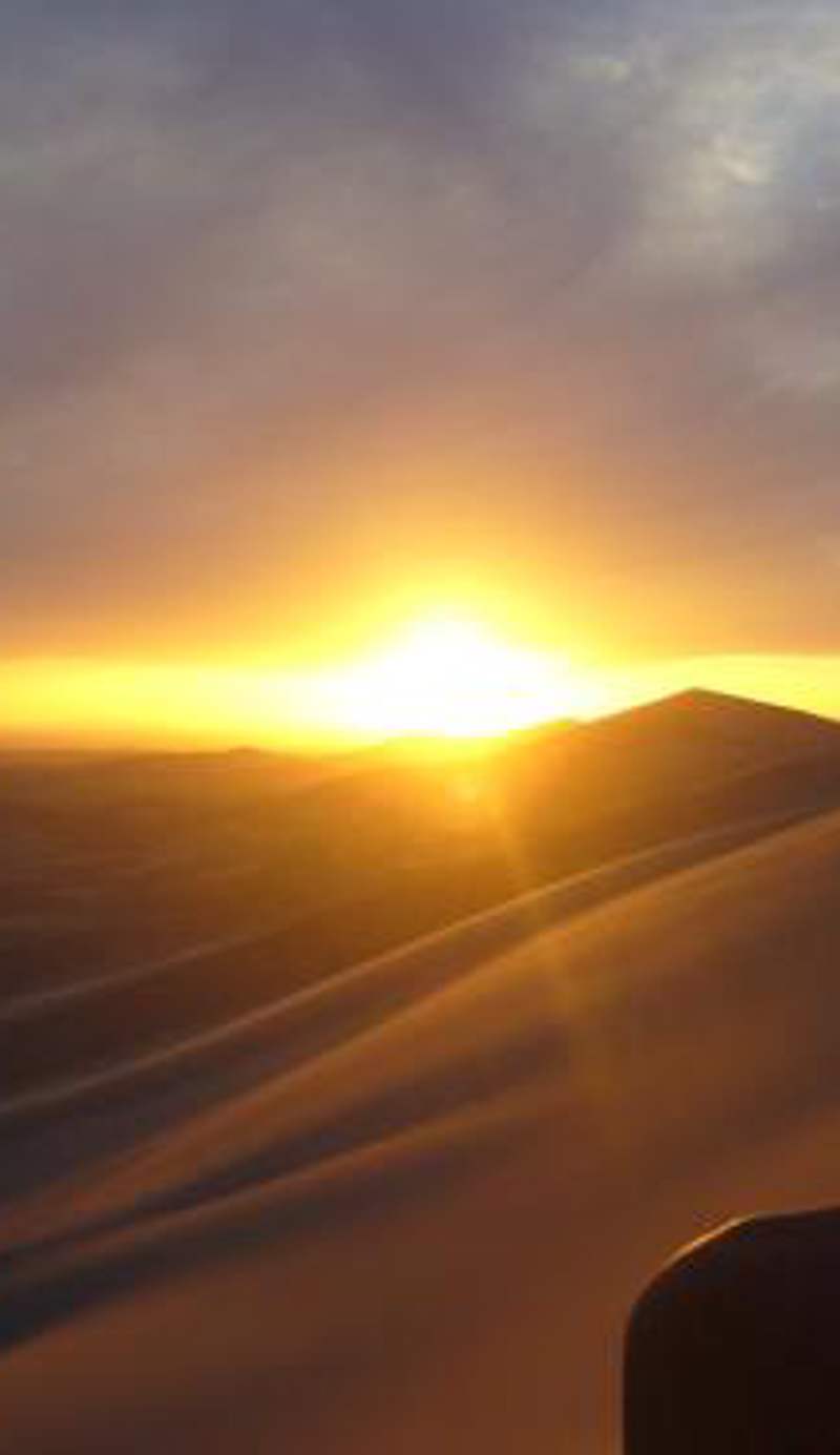Golden Gobi Hostel & Tours