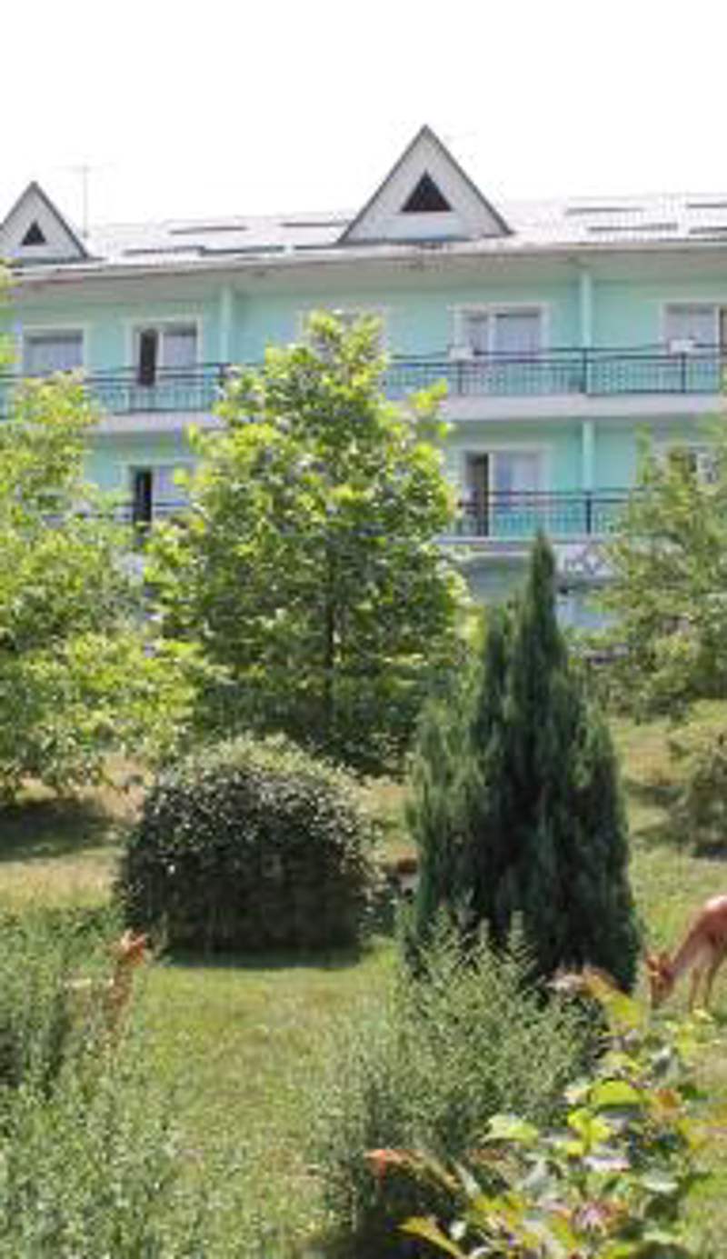 Green Hotel