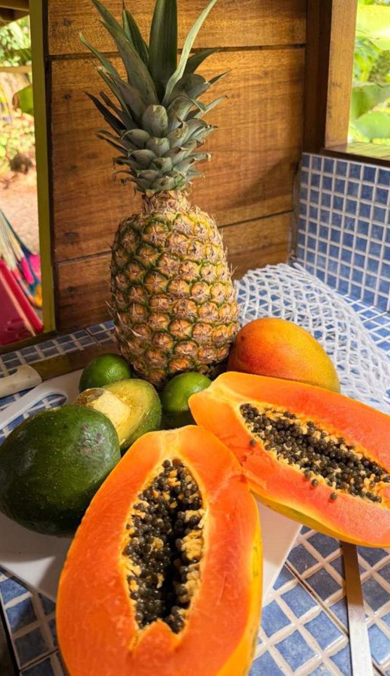 El Jardin de Playa Negra