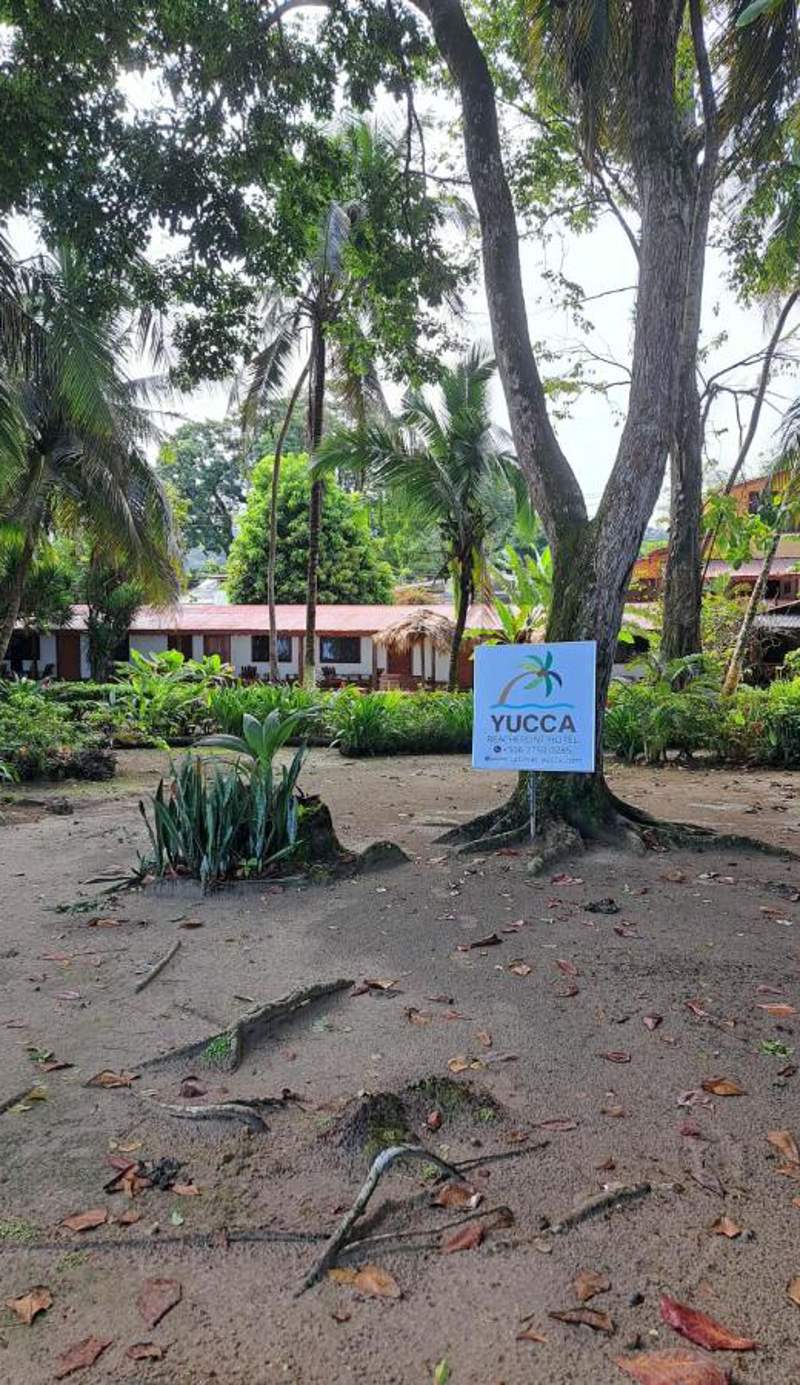 Yucca Beachfront Hotel - Adults Only