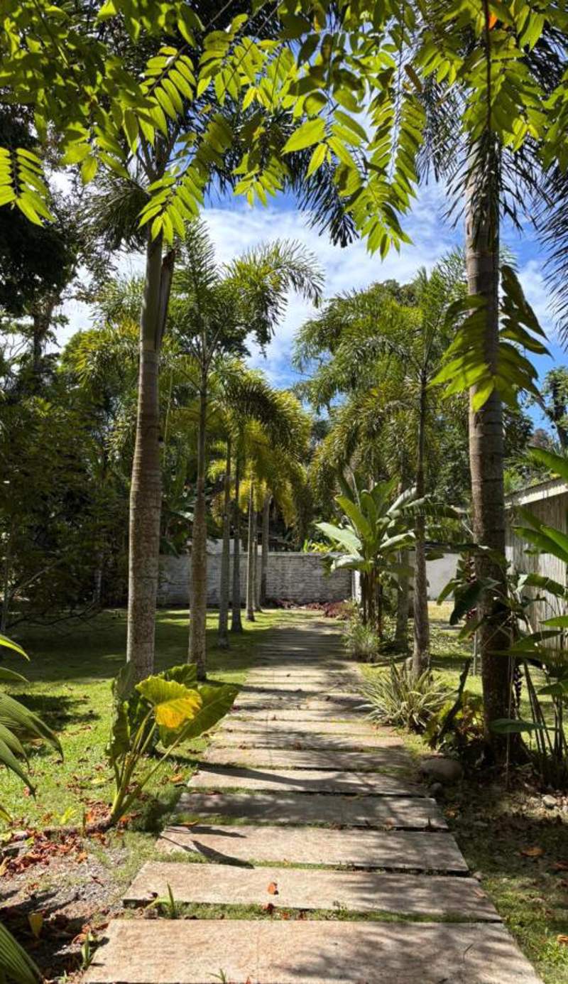 Sonora Jungle & Yoga Retreat